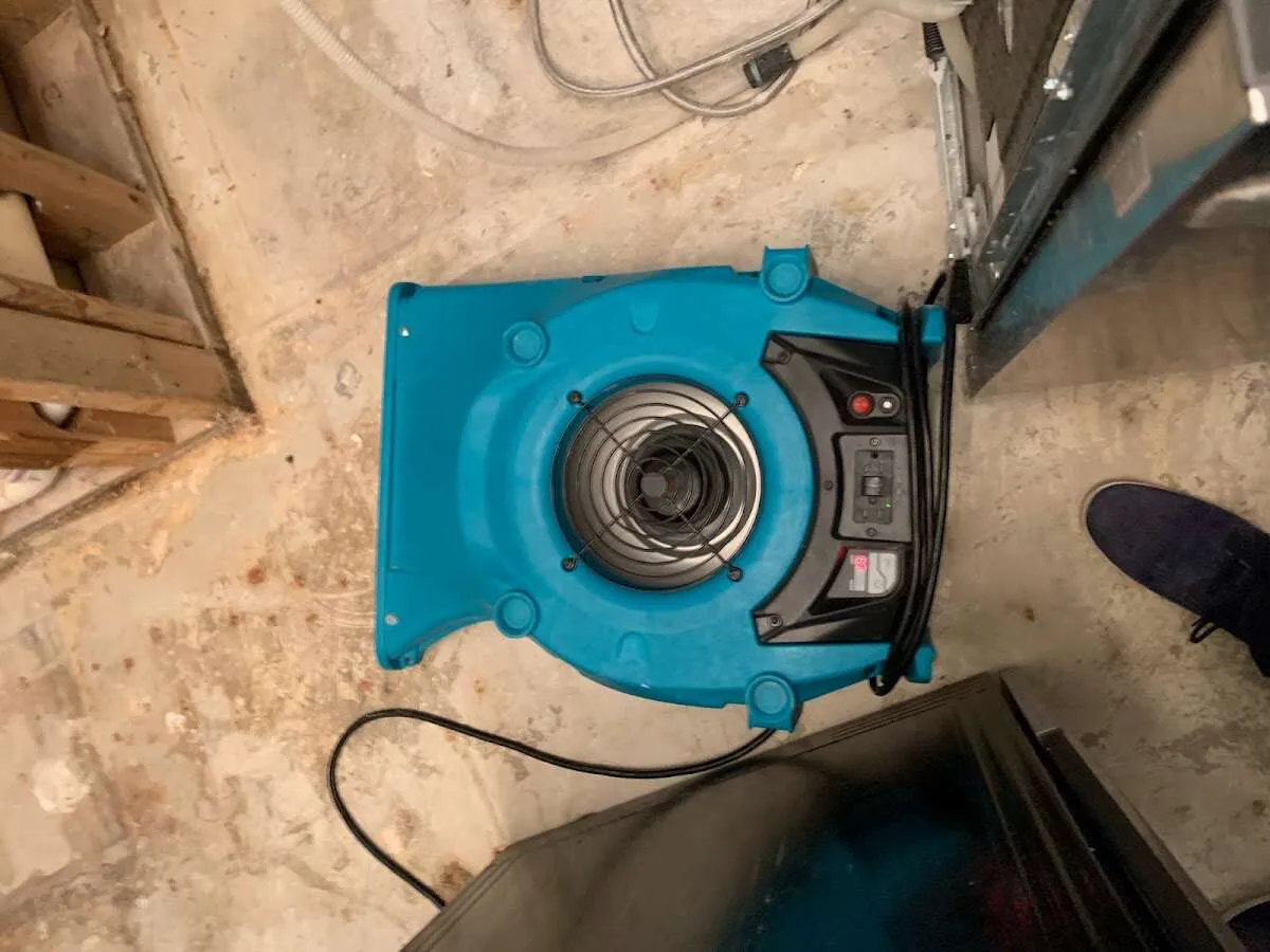 Air mover drying equipment for Mold Remediation & Removal in Garner